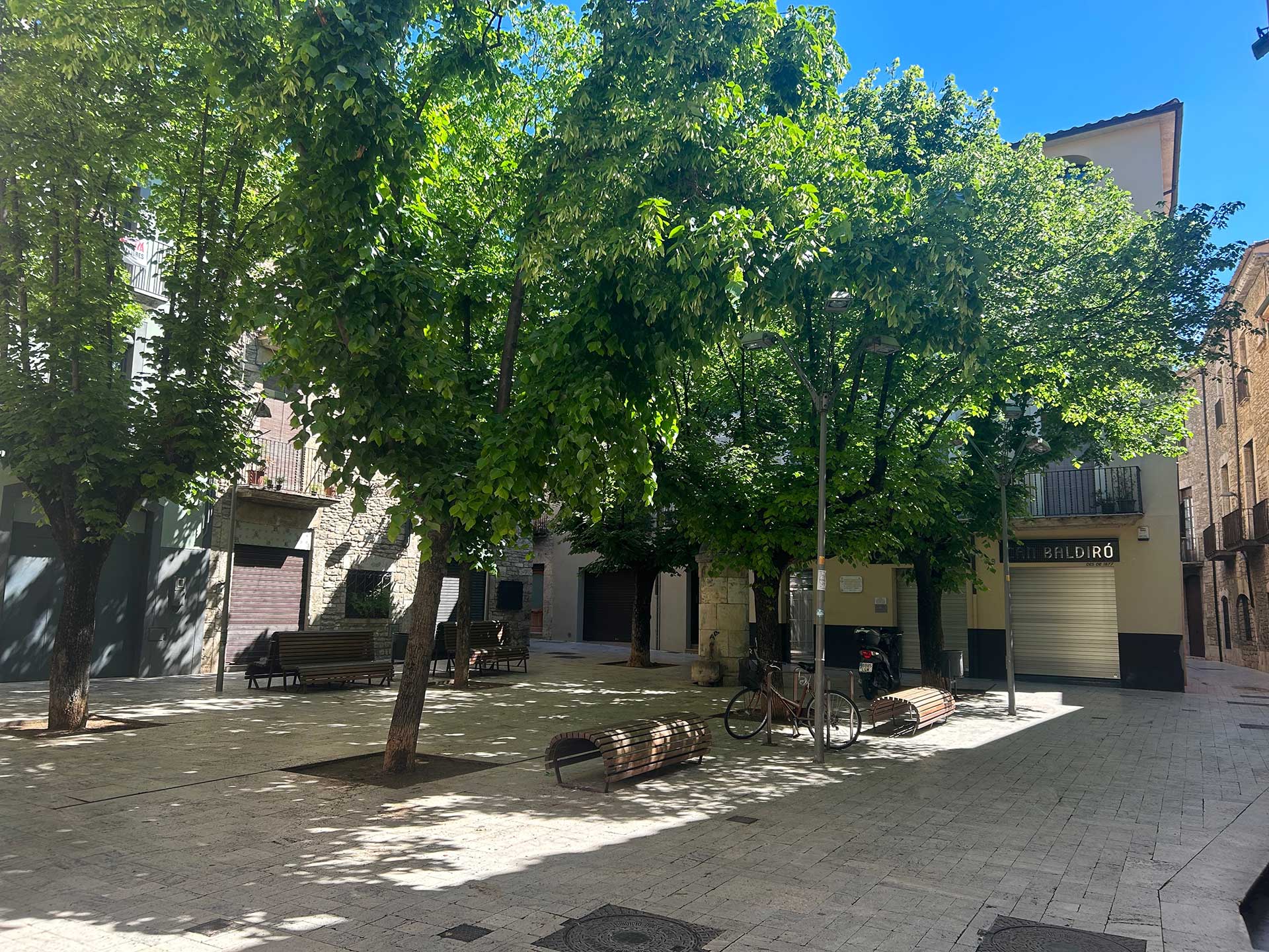 arbres ombra canvi climàtic a Banyoles